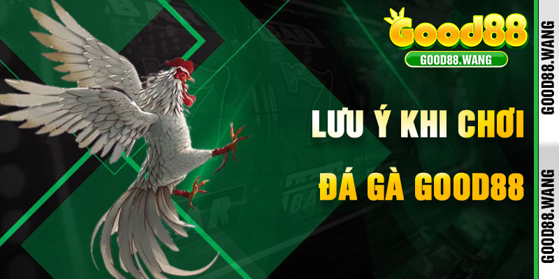 Lưu Ý Khi Tham Gia Đá Gà Good88 Để Tối Ưu Trải Nghiệm