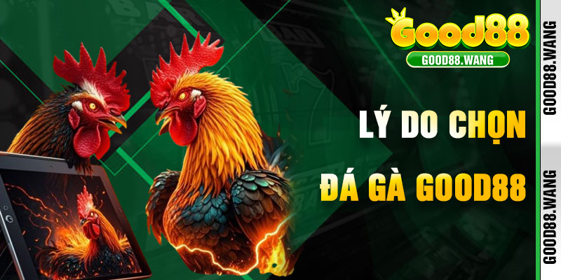 Tại Sao Đá Gà Good88 Là Sân Chơi Không Thể Bỏ Qua?