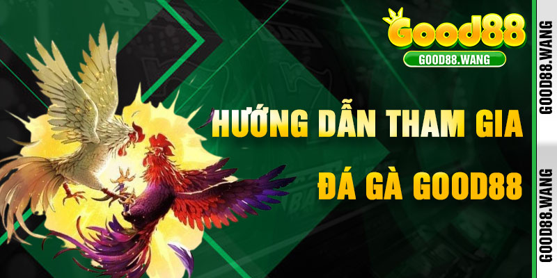 Hướng Dẫn Tham Gia Đá Gà Good88 Để Chinh Phục Thắng Lợi