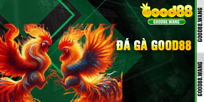 Đá Gà Good88