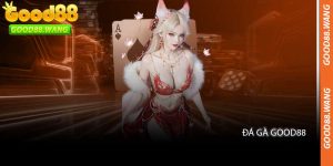Đá Gà Good88 - Sảnh Thi Đấu Đá Gà Trực Tuyến Của 2027